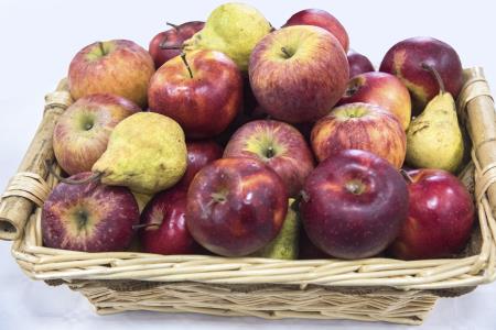 Oddaja Dobro jutro v Občini Hrpelje-Kozina 5